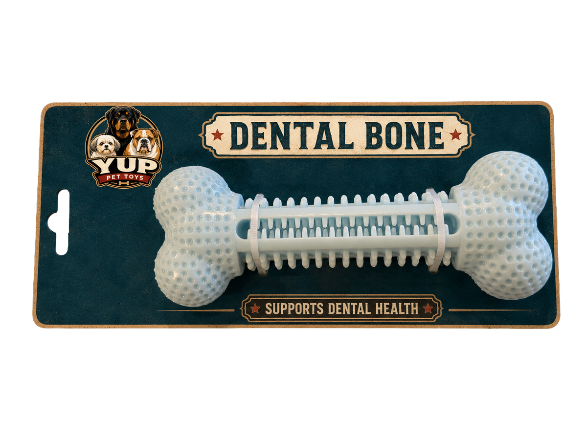 YUP! Dental Bone