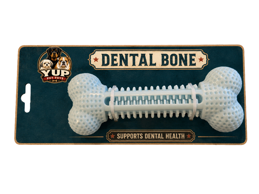 Dental Bone