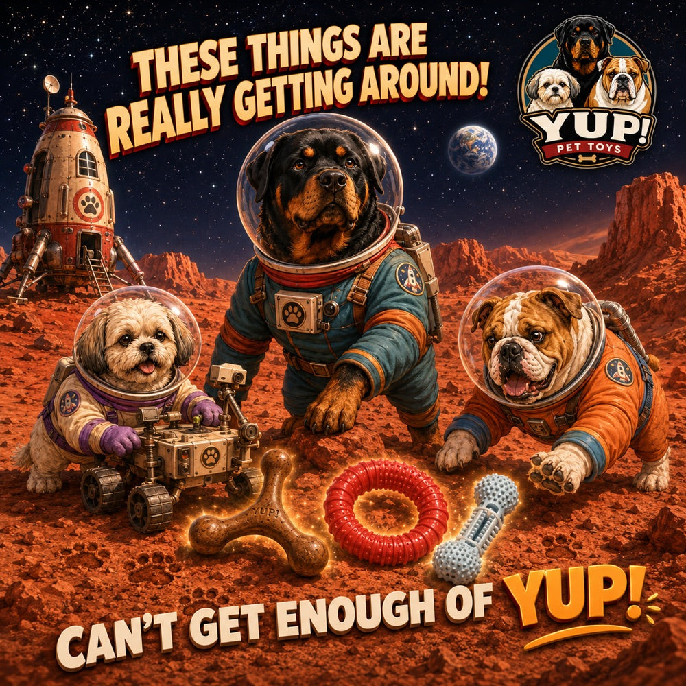 The three YUP! dogs in spacesuits on Mars with a rover, a rocket and the Wishbone, Big Ring and Dental Bone