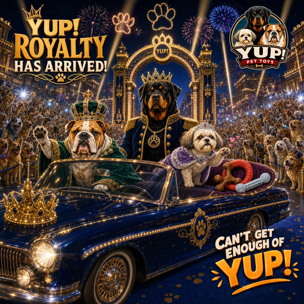 The three YUP! dogs in royal dress arriving by convertible at a fireworks gala with their chews